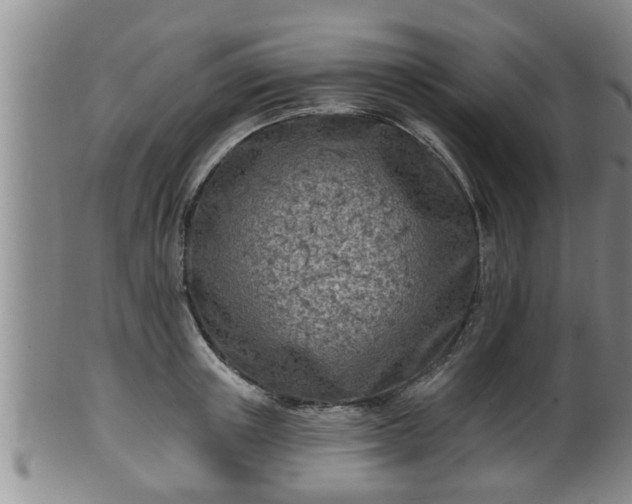 X0000100870851200806271111