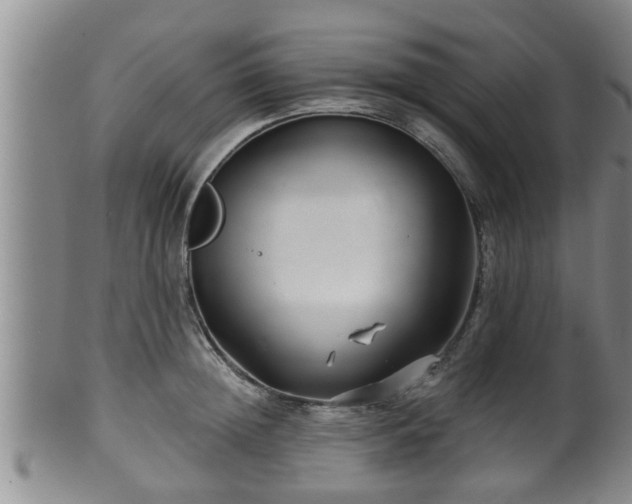 X0000100870852200806271111