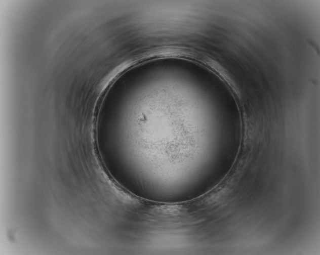 X0000100870853200806271111