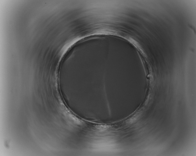 X0000100870854200806271111