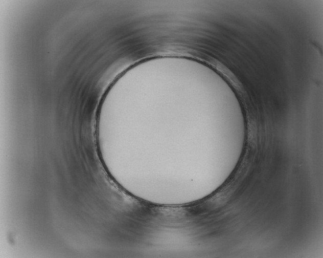 X0000100870856200806271111