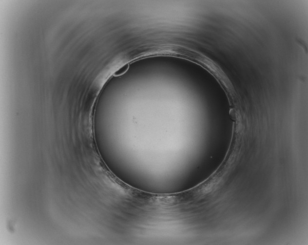 X0000100870858200806271111