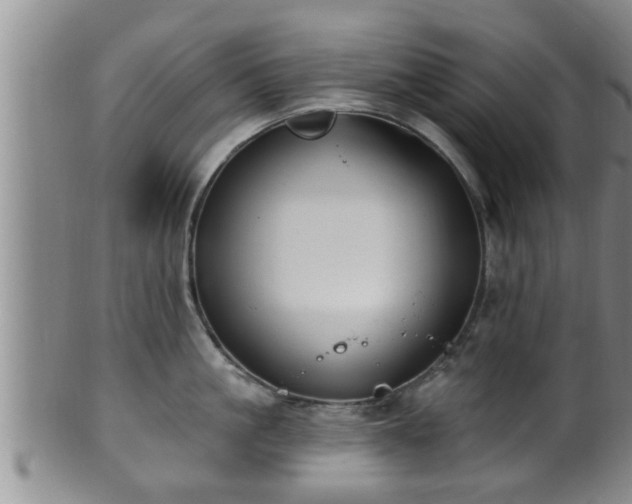 X0000100870861200806271111