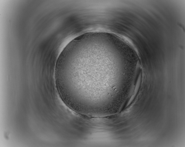 X0000100870863200806271111