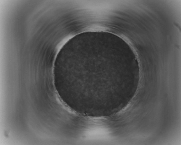 X0000100870864200806271111