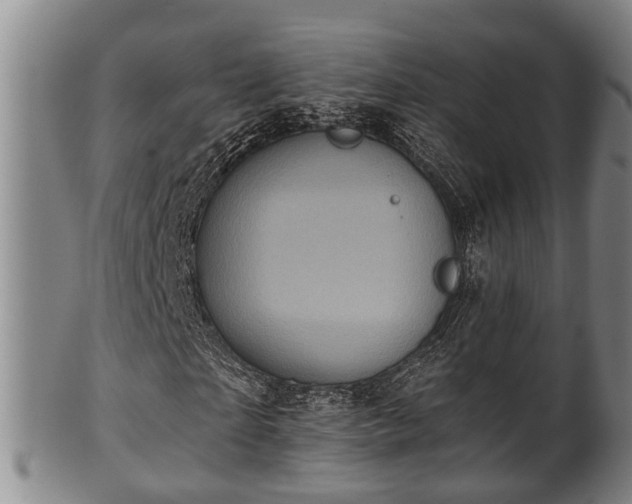 X0000100870865200806271110