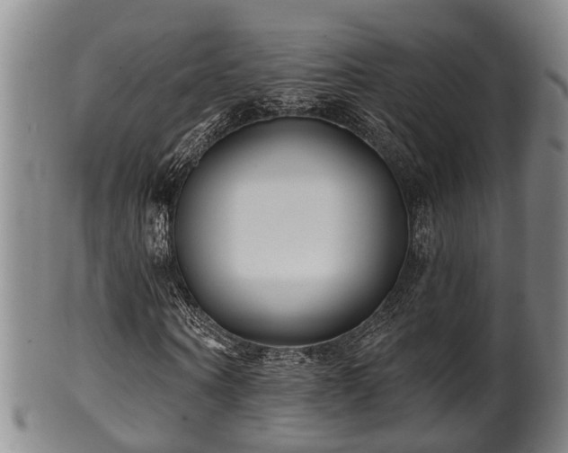 X0000100870866200806271110