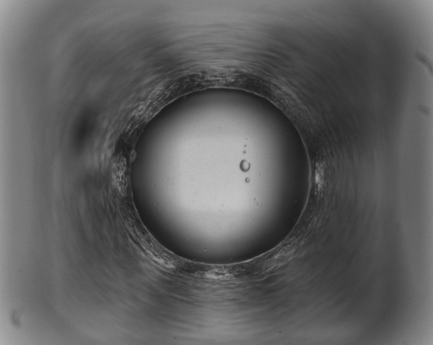 X0000100870867200806271110