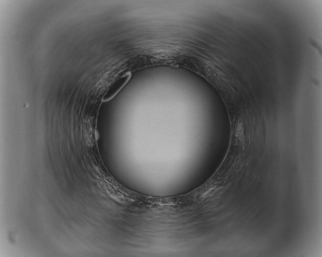 X0000100870868200806271110