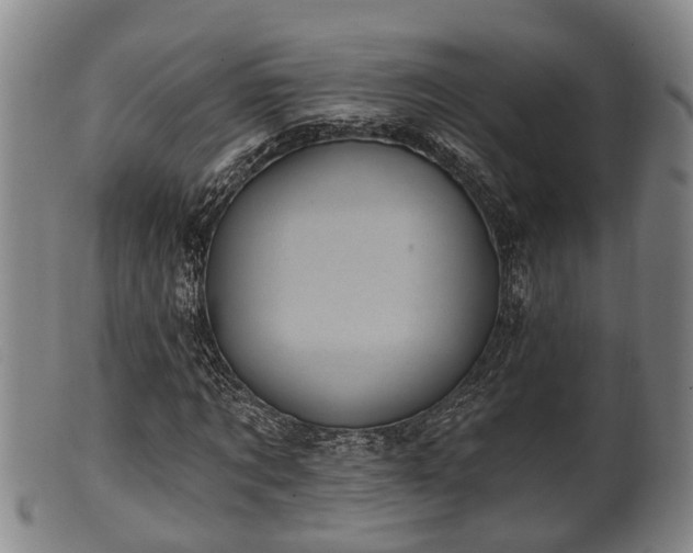 X0000100870869200806271110