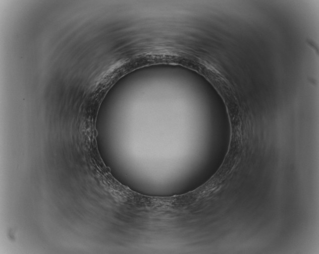 X0000100870870200806271110