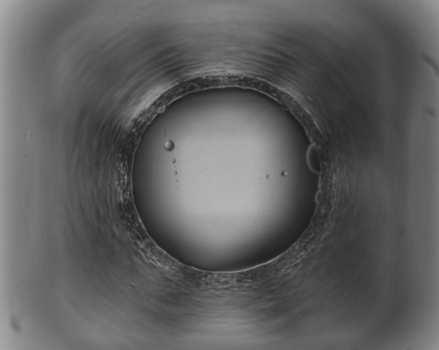 X0000100870871200806271110