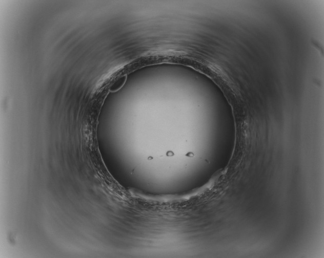 X0000100870872200806271110