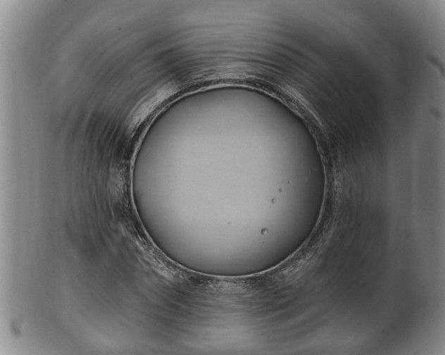 X0000100870874200806271110