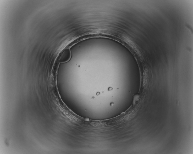 X0000100870876200806271110