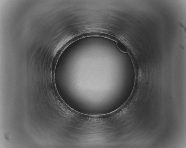 X0000100870877200806271110