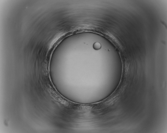 X0000100870878200806271110