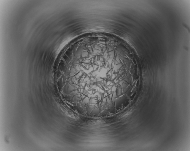X0000100870879200806271110