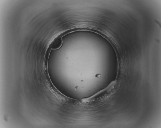 X0000100870880200806271110