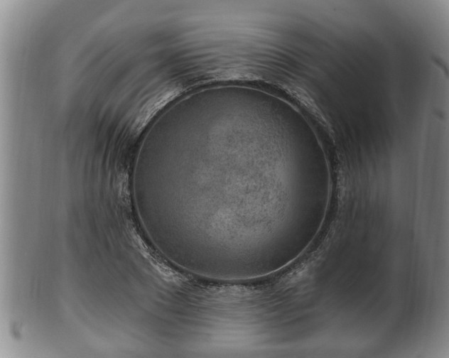 X0000100870881200806271110