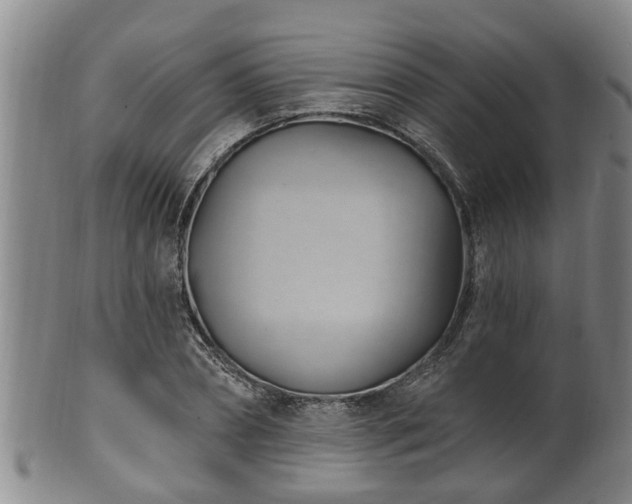 X0000100870882200806271110