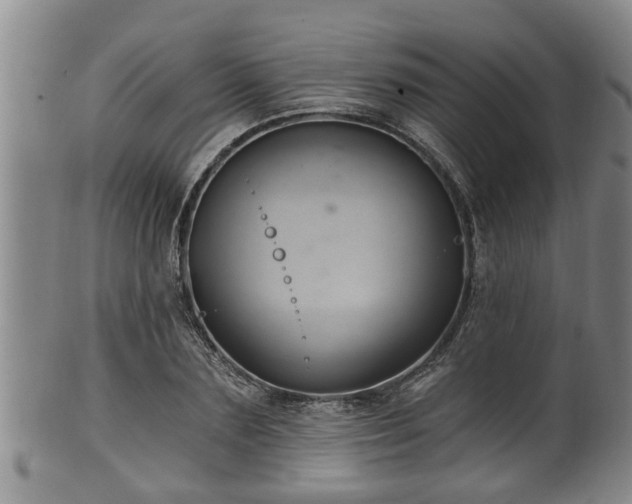 X0000100870883200806271110