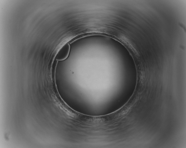 X0000100870884200806271110