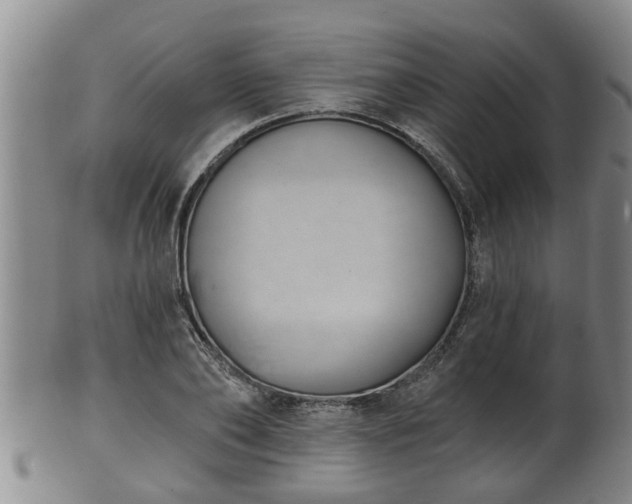 X0000100870886200806271110