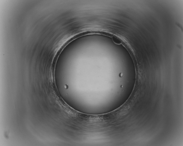 X0000100870887200806271110