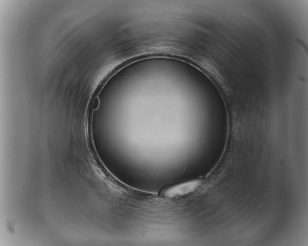 X0000100870888200806271110