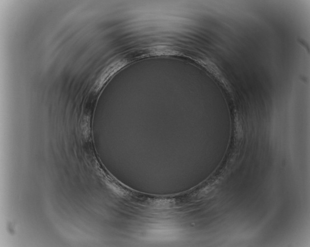 X0000100870889200806271110