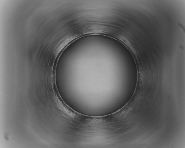 X0000100870890200806271110