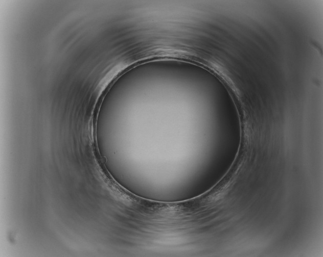 X0000100870891200806271110