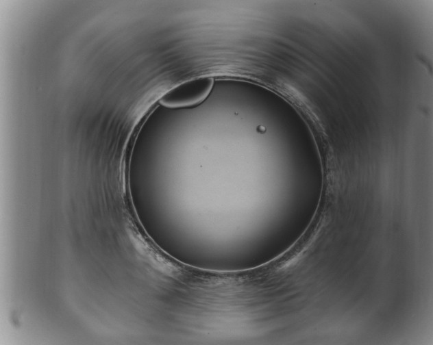 X0000100870892200806271110