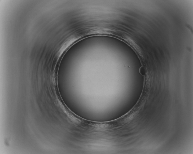 X0000100870893200806271110