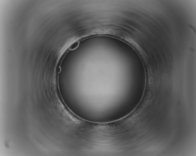 X0000100870894200806271110