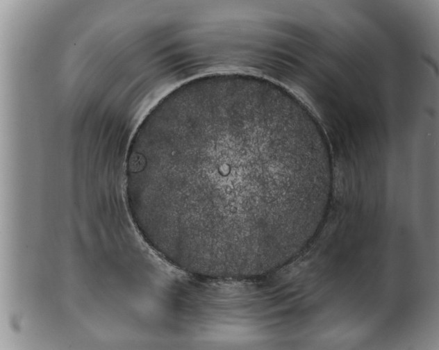 X0000100870895200806271110