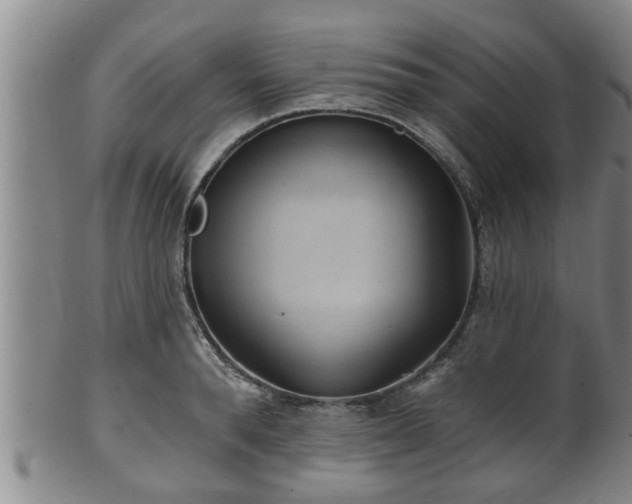 X0000100870896200806271110