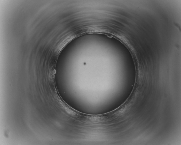 X0000100870897200806271110