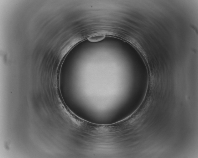 X0000100870898200806271110