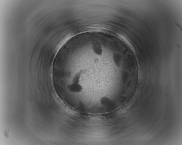 X0000100870899200806271110