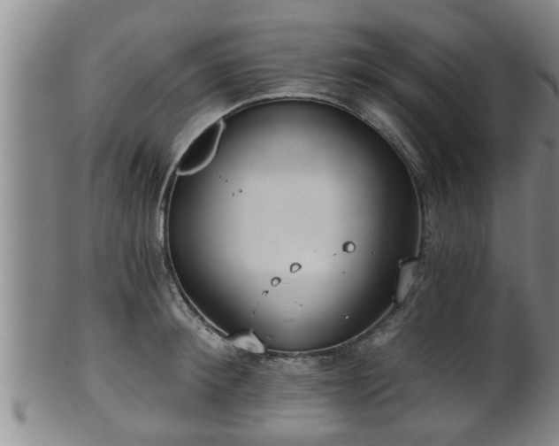 X0000100870900200806271110