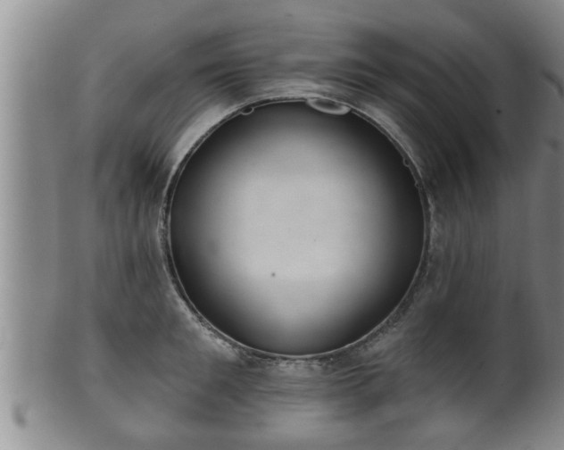 X0000100870901200806271110