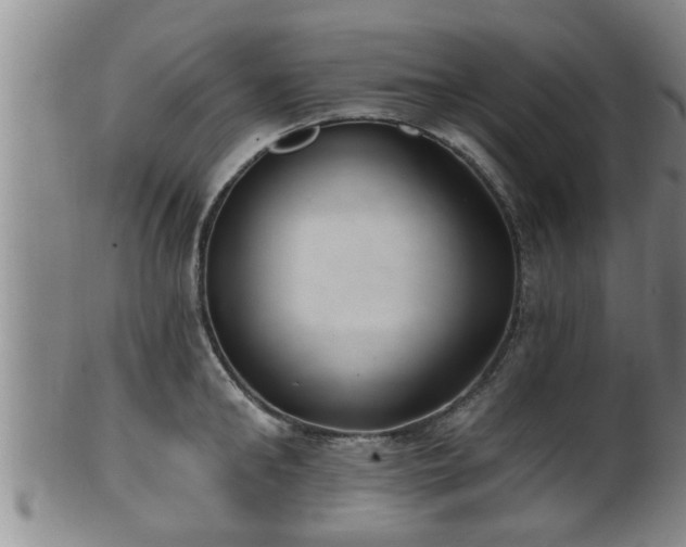 X0000100870902200806271110