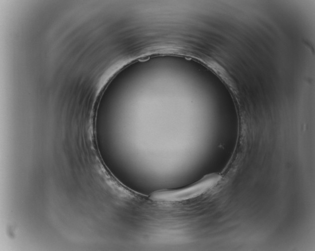 X0000100870904200806271110