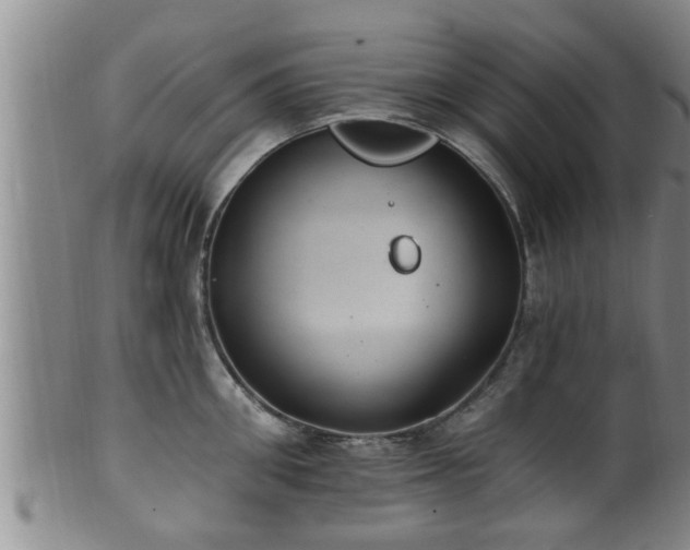 X0000100870906200806271110