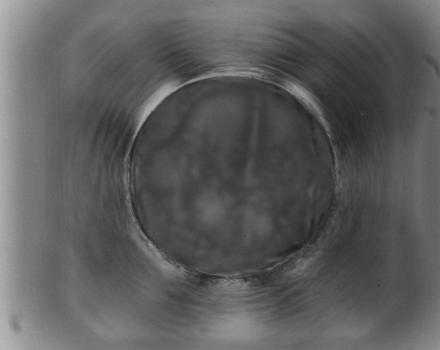 X0000100870907200806271110