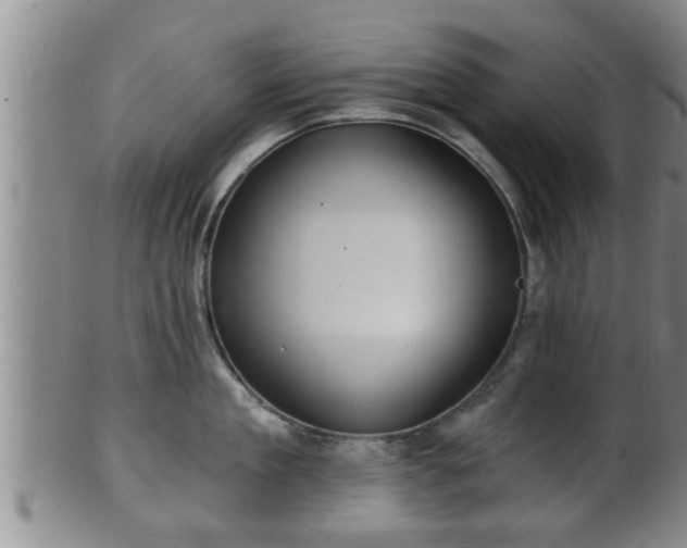 X0000100870909200806271109