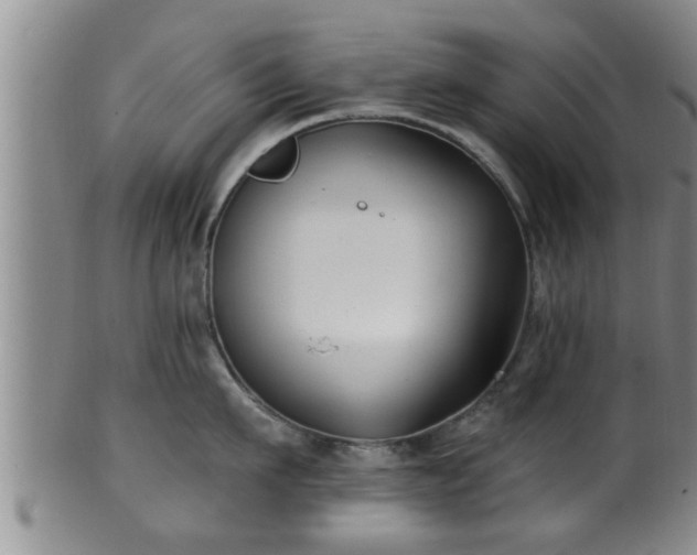 X0000100870911200806271109