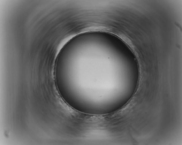 X0000100870912200806271109